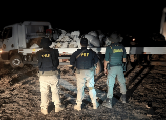 PRF e IBAMA fecham garimpo ilegal com uso de cianeto próximo à Raposa Serra do Sol garimpo