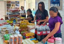 Ibama destina 400 kg de alimentos apreendidos do garimpo ilegal a catadores e entidade em Roraima ibama