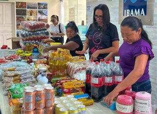 Ibama destina 400 kg de alimentos apreendidos do garimpo ilegal a catadores e entidade em Roraima ibama