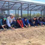 Unidade de soberania alimentar é implantada em área degradada por garimpo na Terra Yanomami yanomami