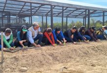 Unidade de soberania alimentar é implantada em área degradada por garimpo na Terra Yanomami yanomami