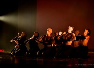 Corpo de Baile do Teatro Municipal de Boa Vista abre vagas para balé infantil e jovem fetec teatro balé