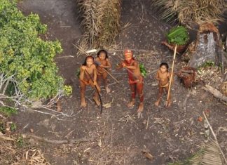 Ministério da Justiça determina envio da Força Nacional à Terra Indígena Pirititi, no Sul de Roraima ibama pirititi