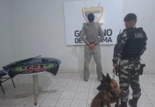 Homem é preso no trabalho após atirar em filhote de cachorro da vizinha no Nova Cidade