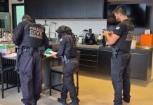 Empresário vira réu por posse irregular de arma após não atender intimações da Polícia Civil