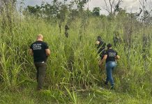 Suspeito de matar adolescente desaparecida em Rorainópolis é preso e restos mortais são encontrados pcrr