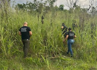 Suspeito de matar adolescente desaparecida em Rorainópolis é preso e restos mortais são encontrados pcrr