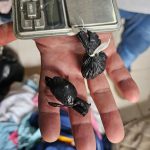Venezuelano é preso por tráfico de drogas no Centro de Boa Vista