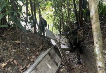 Operação Catrimani II inutiliza equipamentos de garimpo ilegal na Terra Yanomami