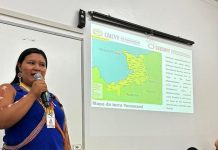 Profissionais de saúde passam por formação para melhorar atendimento a povos indígenas em Roraima