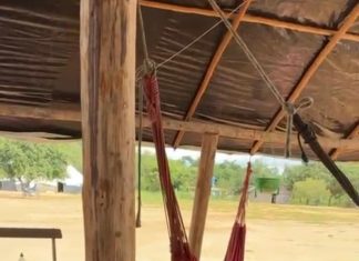 Projeto de IA liderado por mulheres indígenas chega a Roraima e aposta em preservação cultural e geração de renda