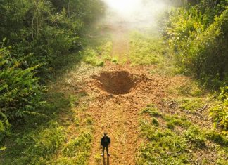 Forças Armadas destroem terceira pista clandestina do garimpo na Terra Yanomami em 2026 Operação Catrimmani pista terra yanomami