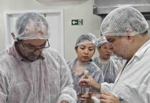 Curso da Embrapa ensina produção de cajuína e incentiva aproveitamento do caju em Roraima