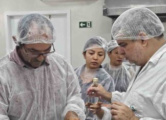 Curso da Embrapa ensina produção de cajuína e incentiva aproveitamento do caju em Roraima