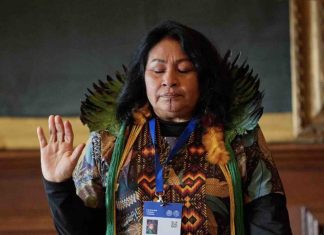 Encontro das Sábias reúne mulheres indígenas para debater saúde, direitos e cultura em Boa Vista