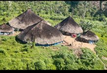 Criança Yanomami morre durante remoção aeromédica após quadro de desnutrição e diarreia grave