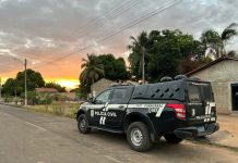 Homem é preso após furtar celular em pizzaria em Caracaraí