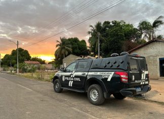 Homem é preso após furtar celular em pizzaria em Caracaraí