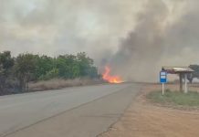 Incêndio atinge área de lavrado no PA Nova Amazônia