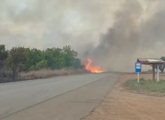 Incêndio atinge área de lavrado no PA Nova Amazônia