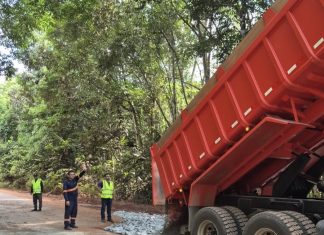 DNIT inicia recuperação de trecho crítico da BR-174 após articulação de Helena da Asatur