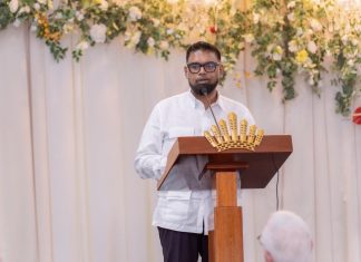 Guiana avalia construir refinaria de petróleo em meio a tensões globais