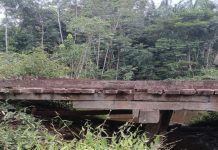 Deputada Joilma Teodora propõe construção de pontes em vicinais e instalação de câmeras em escolas de Roraima