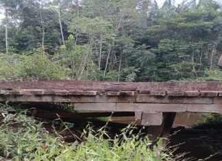 Deputada Joilma Teodora propõe construção de pontes em vicinais e instalação de câmeras em escolas de Roraima