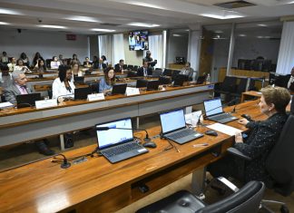 GT do Senado discute propostas para regulamentar mineração em terras indígenas