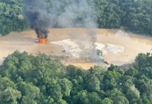 MPF pede condenação de dois homens por ouro ilegal, armas e combustível clandestino em Boa Vista