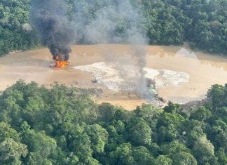 MPF pede condenação de dois homens por ouro ilegal, armas e combustível clandestino em Boa Vista