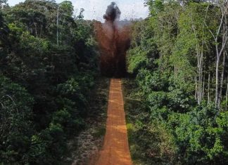 MPF cobra plano urgente contra pistas clandestinas do garimpo e aponta concentração de ações em Roraima