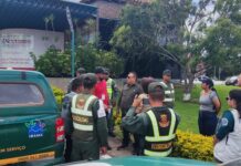 Ibama repatria 440 canários apreendidos em Roraima para a Venezuela após investigação de tráfico