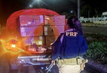 PRF apreende caminhão com motor roubado e cargas com descaminho e madeira ilegal em Roraima