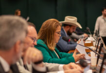 A pedido de Helena da Asatur, Câmara aprova debate em Roraima sobre reajuste da conta de luz