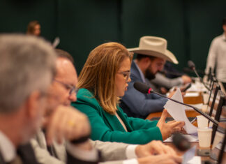 A pedido de Helena da Asatur, Câmara aprova debate em Roraima sobre reajuste da conta de luz
