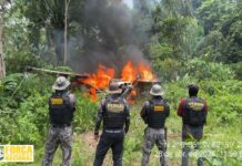 Funai inutiliza aeronave usada por garimpo ilegal na Terra Yanomami após interdição de pista clandestina