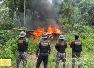 Funai inutiliza aeronave usada por garimpo ilegal na Terra Yanomami após interdição de pista clandestina