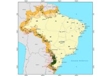 Justiça libera retomada da regularização fundiária em Roraima após decisão do TRF-1