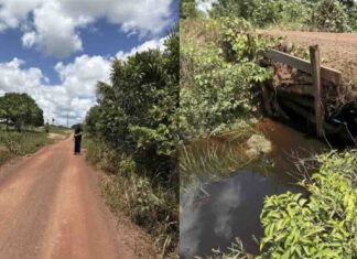 Joilma Teodora cobra do Governo de Roraima recuperação de ponte em vicinal de Rorainópolis