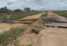 Deputada Joilma Teodora pede construção de pontes na Vicinal 45 em Rorainópolis pontes rorainópolis joilma teodora