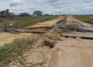 Deputada Joilma Teodora pede construção de pontes na Vicinal 45, em Rorainópolis pontes rorainópolis joilma teodora