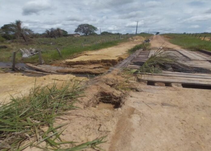 pontes rorainópolis joilma teodora
