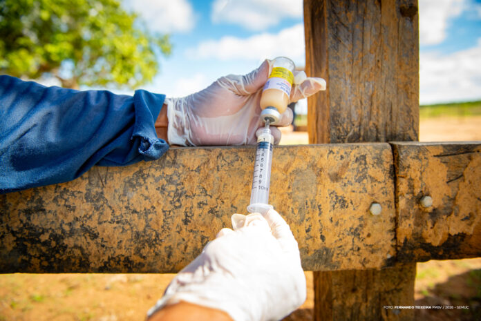 Vacinação contra a brucelose nas comunidades indígenas - Ft FERNANDO TEIXEIRA (6)