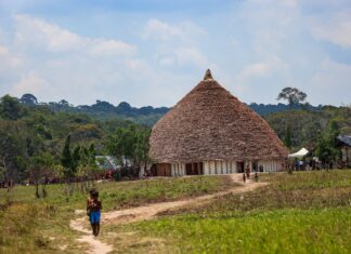 Novo PAC prevê R$ 35 milhões para construção de escolas na Terra Yanomami