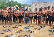 Tecnologias da Embrapa fortalecem segurança alimentar na Terra Indígena Yanomami