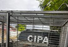 Câmeras desmentem suspeito que tentou culpar venezuelano por abuso sexual de cadela em Boa Vista