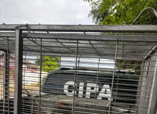 Câmeras desmentem suspeito que tentou culpar venezuelano por abuso sexual de cadela em Boa Vista