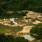 Garimpo ilegal na Terra Yanomami cai pelo terceiro ano seguido, aponta relatório do ISA
