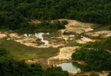 Garimpo ilegal na Terra Yanomami cai pelo terceiro ano seguido, aponta relatório do ISA